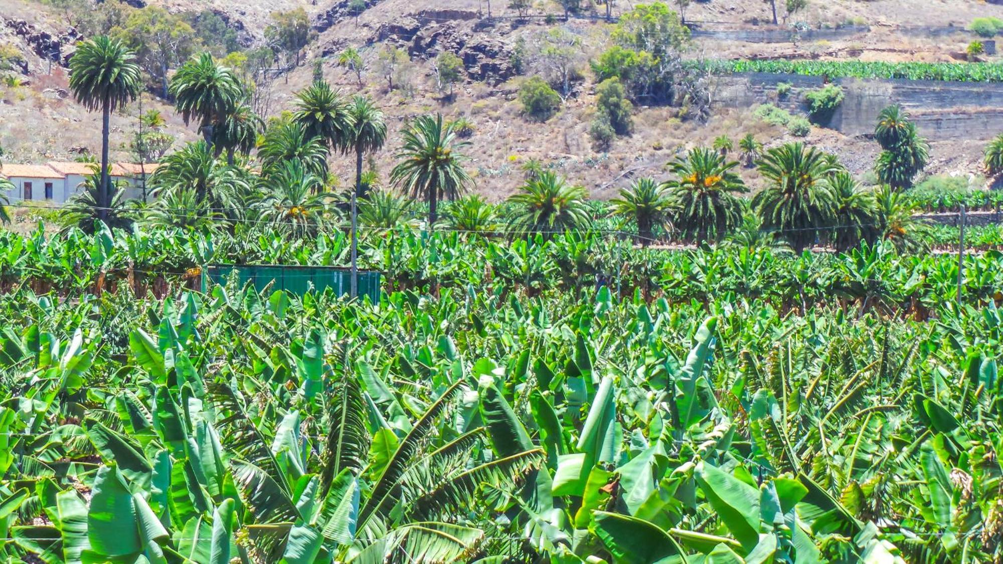 El Refugio Los Portales Arucas Eksteriør bilde